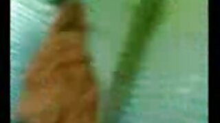 مثير سكس عالمي احترافي مترجم أحمر العمارنة ميلر يحصل لها كس تؤكل نظيفة